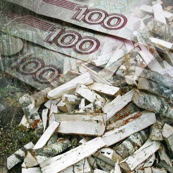 Дрова — ежегодная забота каждой семьи.