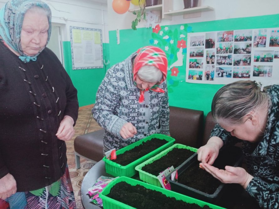 Посев семян цветочных культур
