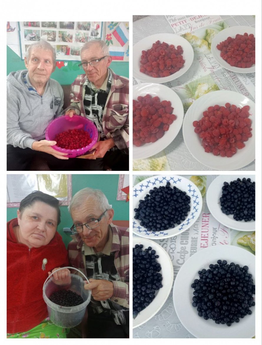 Летний урожай