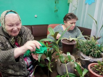 Как надо ухаживать за комнатными растениями