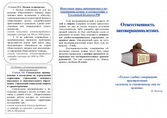  Профилактическая беседа «Ответственность несовершеннолетних»
