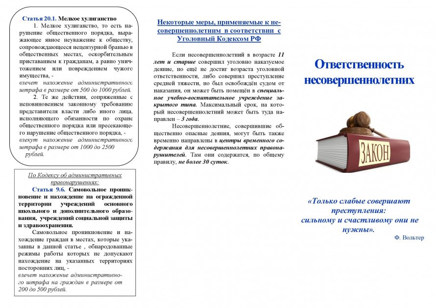  Профилактическая беседа «Ответственность несовершеннолетних»