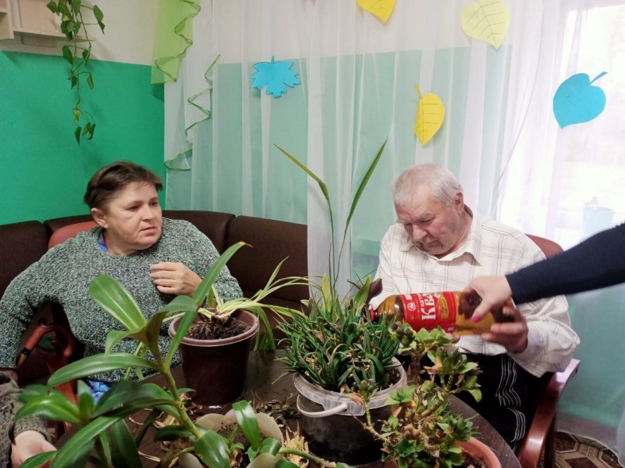 Как надо ухаживать за комнатными растениями