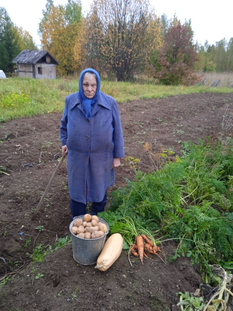 Благотворительная акция по сбору овощей с приусадебного участка «Осенний урожай»
