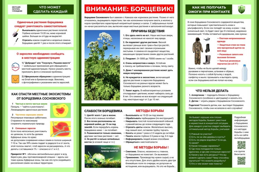 Что может сделать каждый в борьбе с борщевиком Сосновского?