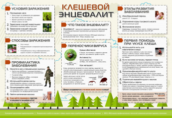 Осторожно клещи