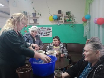 Пересадка комнатных растений