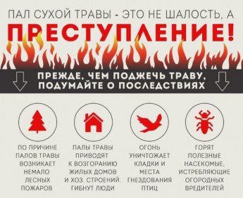 Пал сухой травы ЗАПРЕЩЁН!