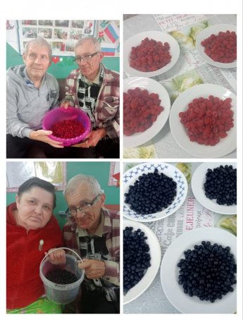 Летний урожай