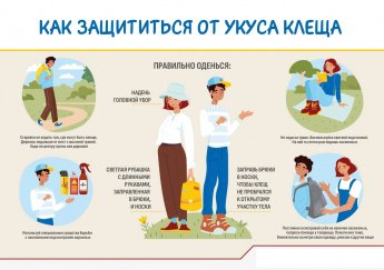 Как защитится от укуса клеща
