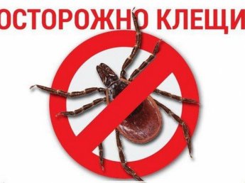 Осторожно клещи!