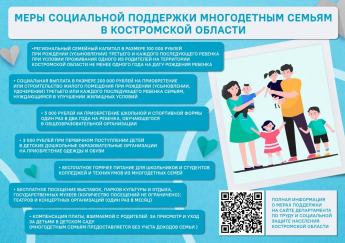 Меры социальной поддержки многодетным семьям в Костромской области