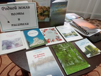 Беседа-выставка сборников произведений поэтов и писателей Поназыревского района "Родной земли поэты и писатели"